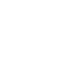 Demo Website